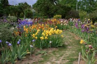 /album/galerie-de-photos-floraisons/jardin-du-cabanon-02-comp-jpg1/